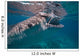Whale Shark Feeding Bohol Wall Decal Design 2