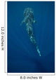 Whale Shark Swimming Deep Wall Decal Design 3