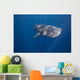 Whale Shark Swimming Deep Wall Decal Design 2