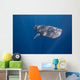 Whale Shark Swimming Deep Wall Decal Design 2