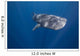 Whale Shark Swimming Deep Wall Decal Design 2