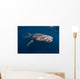 Whale Shark Swimming Freely Wall Decal