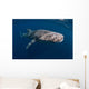 Whale Shark Swimming Freely Wall Decal