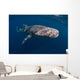 Whale Shark Swimming Freely Wall Decal