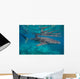Whale Shark Swimming Blue Wall Decal Design 14