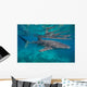 Whale Shark Swimming Blue Wall Decal Design 14