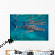 Whale Shark Swimming Blue Wall Decal Design 14