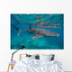 Whale Shark Swimming Blue Wall Decal Design 14