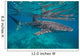 Whale Shark Swimming Blue Wall Decal Design 14