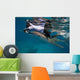 Researcher Collecting Copepods from Wall Decal