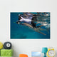 Researcher Collecting Copepods from Wall Decal