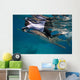 Researcher Collecting Copepods from Wall Decal