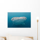 Whale Shark Comes to Wall Decal