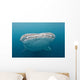 Whale Shark Comes to Wall Decal