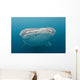 Whale Shark Comes to Wall Decal