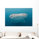 Whale Shark Comes to Wall Decal