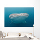 Whale Shark Comes to Wall Decal