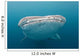 Whale Shark Comes to Wall Decal
