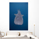 Whale Shark Swimming Blue Wall Decal Design 11