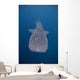 Whale Shark Swimming Blue Wall Decal Design 11