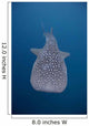 Whale Shark Swimming Blue Wall Decal Design 11