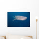 Whale Shark Swimming Blue Wall Decal Design 10