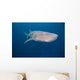 Whale Shark Swimming Blue Wall Decal Design 10