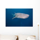 Whale Shark Swimming Blue Wall Decal Design 10