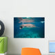 Whale Shark Feeding Bohol Wall Decal Design 1