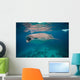 Whale Shark Feeding Bohol Wall Decal Design 1