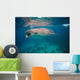 Whale Shark Feeding Bohol Wall Decal Design 1