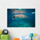 Whale Shark Feeding Bohol Wall Decal Design 1