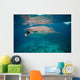 Whale Shark Feeding Bohol Wall Decal Design 1