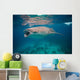 Whale Shark Feeding Bohol Wall Decal Design 1