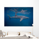 Whale Shark Swimming Blue Wall Decal Design 9