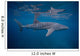 Whale Shark Swimming Blue Wall Decal Design 9