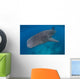 Whale Shark Swimming Blue Wall Decal Design 8