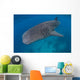 Whale Shark Swimming Blue Wall Decal Design 8