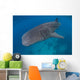 Whale Shark Swimming Blue Wall Decal Design 8