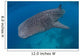 Whale Shark Swimming Blue Wall Decal Design 8