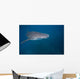 Whale Shark Swimming Blue Wall Decal Design 7