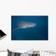 Whale Shark Swimming Blue Wall Decal Design 7