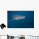 Whale Shark Swimming Blue Wall Decal Design 7
