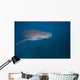 Whale Shark Swimming Blue Wall Decal Design 7