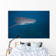 Whale Shark Swimming Blue Wall Decal Design 7