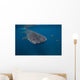 Whale Shark Swimming Blue Wall Decal Design 6