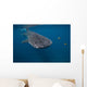 Whale Shark Swimming Blue Wall Decal Design 6