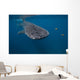 Whale Shark Swimming Blue Wall Decal Design 6