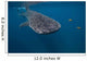 Whale Shark Swimming Blue Wall Decal Design 6