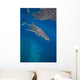 Whale Shark Swimming Blue Wall Decal Design 5